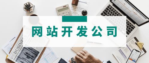 3家專業(yè)網(wǎng)站開(kāi)發(fā)公司簡(jiǎn)介 哪家的網(wǎng)站建設(shè)服務(wù)更適合你的運(yùn)營(yíng)管理需求？